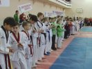 В Первоуральске стартовал 18-й Всероссийский турнир по тхэквондо