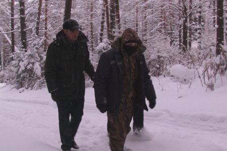 В Первоуральске проходят рейды на предмет выявления незаконной рубки новогодней ели