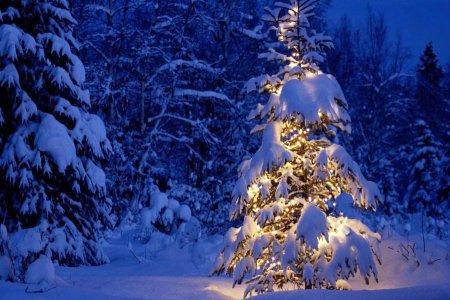 В Новогоднюю ночь погода в Первоуральске обещает быть теплой