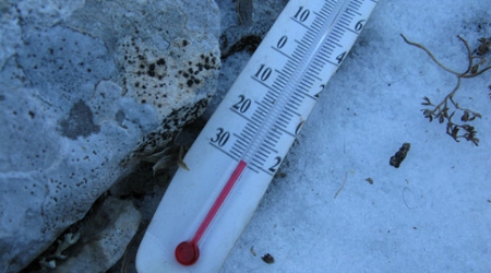 Первоуральцы могут не водить детей в школу