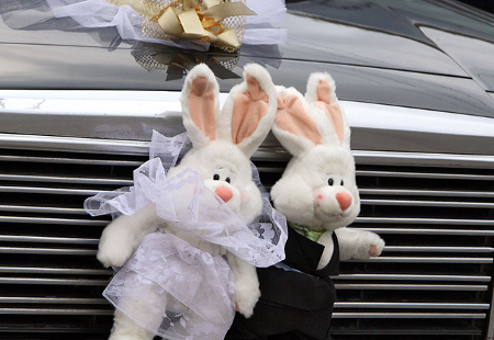 В День всех влюбленных в Первоуральске свадьбы сыграют 34 пары