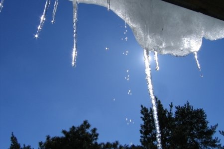 Итоги недели