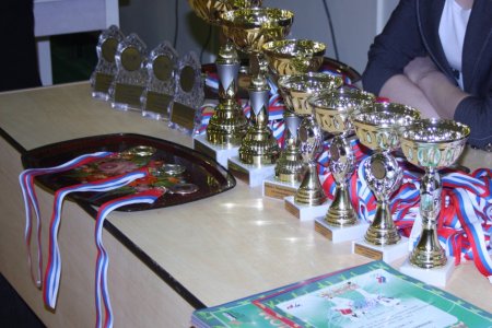 В Первоуральске прошел Кубок Первоурльска по тхэквондо