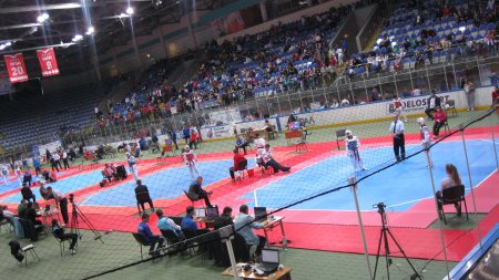 Первоуральск принял участие в Первенстве России по тхэквондо среди юношей и девушек