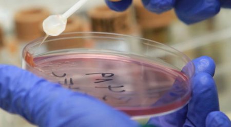 Ситуация в Новоуткинске полностью стабилизировалась