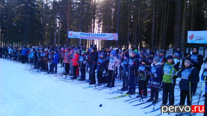 На стартовой поляне поселка Динас был дан старт «Лыжне России 2015»