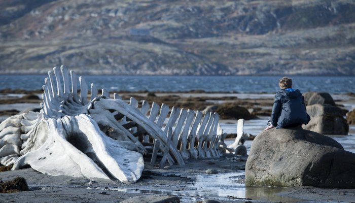 Польский фильм «Ида» лишил «Левиафана» премии BAFTA