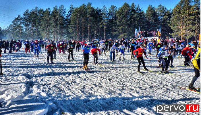 Первоуральские лыжницы завоевали золотые, серебряные и бронзовые медали