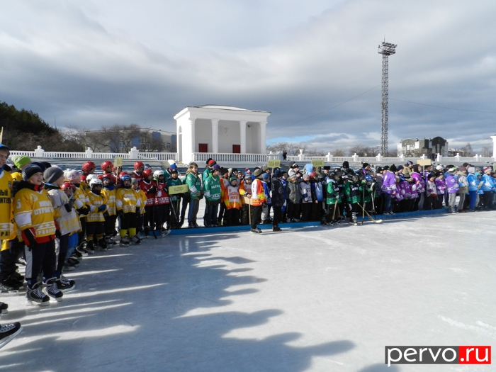 В Первоуральске подвели итоги соревнований среди детских дворовых клубов по хоккею с мячом «Плетеный мяч»