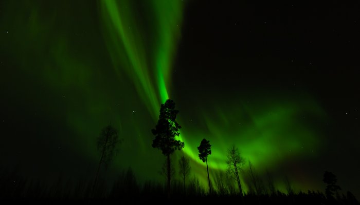 Жители Первоуральска ночью наблюдали северное сияние