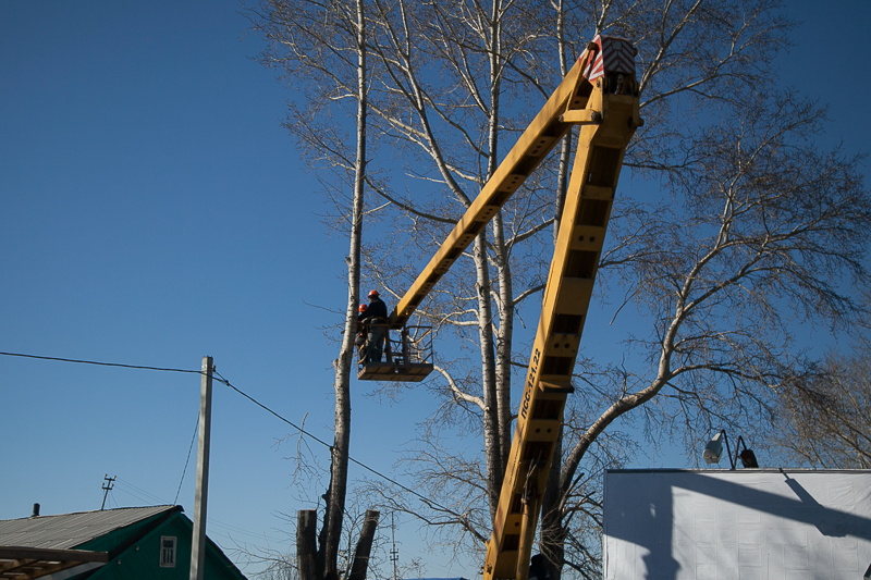 В Первоуральске продолжат кронирование деревьев