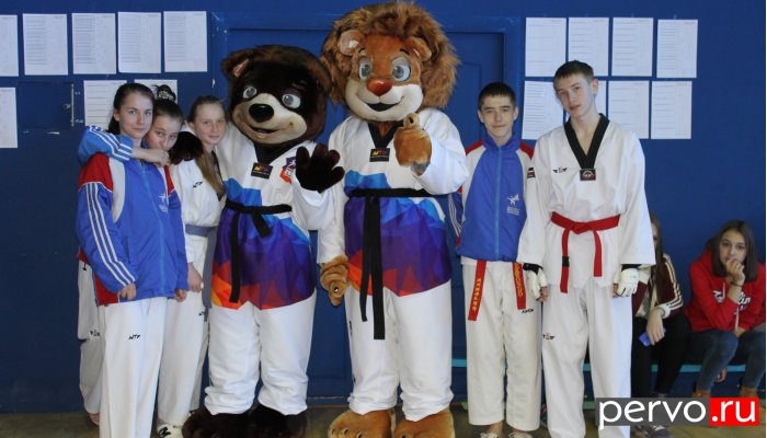 На соревнованиях УРФО по тхэквондо Первоуральск только третий