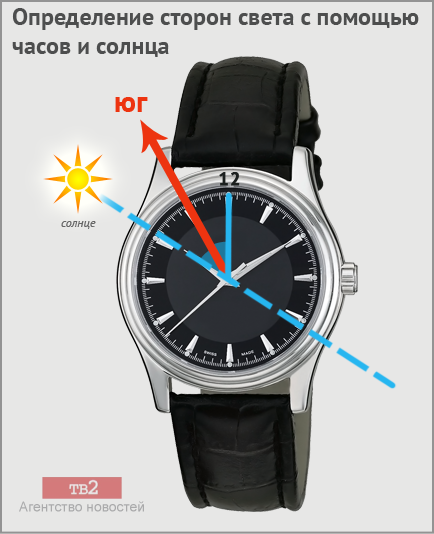 Сами Сусанин – в Первоуральске с начала года заблудилось 28 грибников