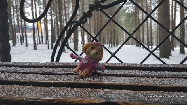 В городском парке завершен третий этап работ по освещению территории В городском парке завершен третий этап работ по освещению территории