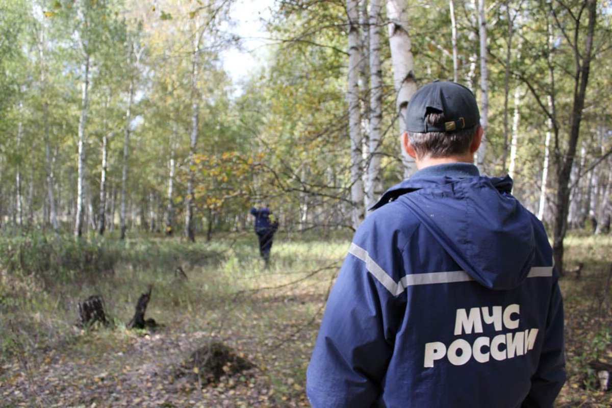 Спасатели Первоуральска нашли грибника, который блуждал по лесу четыре дня