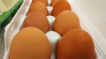 Производство яиц в России продолжает падать