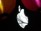 Apple может открыть "облачный" музыкальный сервис раньше Google