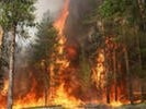 Лесные пожары подбираются к поселкам