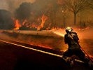 Лесные пожары получили статус ЧС