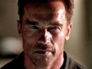 Шварценеггер не начнет сниматься в фильме «Плачь, мачо», пока не разведется с женой