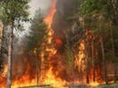 Правительственная телеграмма разослана в муниципалитеты Среднего Урала — о режиме ЧС из-за лесных пожаров