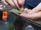 СМИ: грузинские чиновники нашли, чем привлечь туристов - легализовать марихуану