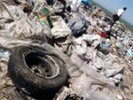 Перевозчики ТБО Первоуральска завалили мусором лес под Новоуткинском