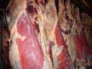 В Приморский край поступило 25 тонн свинины из Германии, зараженной кишечной палочкой