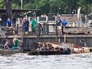 Жертв крушения на Москве-реке порубило винтами