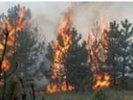 На Среднем Урале за сутки произошло пять лесных пожаров