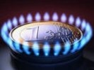 Украина надеется, что новая цена на газ начнет действовать с начала 2012 года