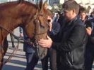 Пресса узнала, сколько Кадыров тратит на элитных коней - деньги, видимо, "дает Аллах"