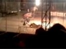 В Мексике тигр растерзал дрессировщика на глазах зрителей во время выступления