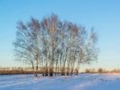 Зима в центре России закончится теплом, а весна начнется с морозов