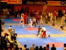 Первоуральск принял участие в Международном турнире «Germam open 2013»