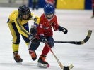 В Первоуральске подвели итоги детского хоккейного турнира «Плетеный мяч»