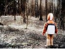 Школьник пропал во время игры в прятки в лесу под Красноуральском