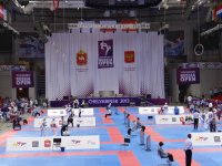 Тхэквондисты Первоуральска приняли участие в Международном турнире «Russia open»