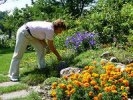 Лучшие садоводы живут в Екатеринбурге и Первоуральске