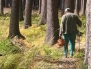 Пропавший мужчина жил в серовском лесу три месяца
