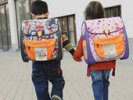 Ливанов: портфели первоклассников станут легче за счет электронных учебников