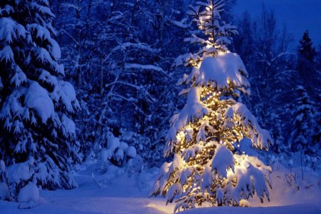 В Новогоднюю ночь погода в Первоуральске обещает быть теплой