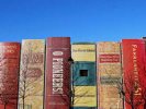 Минкультуры не будет закрывать публичные библиотеки в России