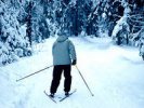 В Первоуральске супружеская пара лыжников заблудилась в лесу