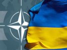 Украинские власти не рассматривают вопрос о вступлении в НАТО
