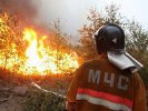 Общая площадь пожаров в Сибири составляет 1705,9 га