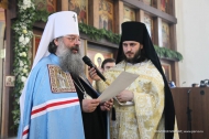 Владыка Кирилл вручил Николаю Козлову почетную грамоту Владыка Кирилл вручил Николаю Козлову почетную грамоту