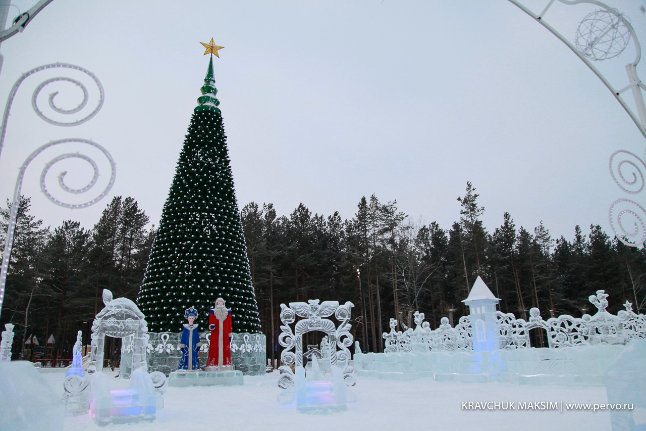 Сегодня засияет главная городская елка
