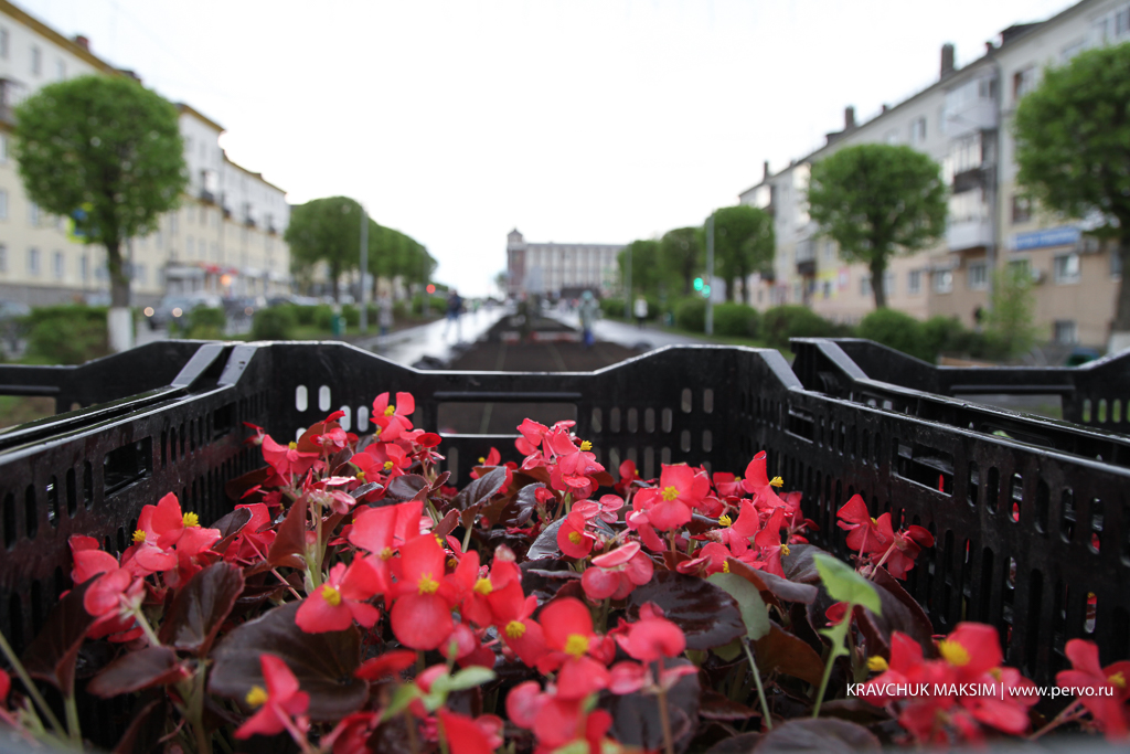 Первоуральск украсят яркими цветами