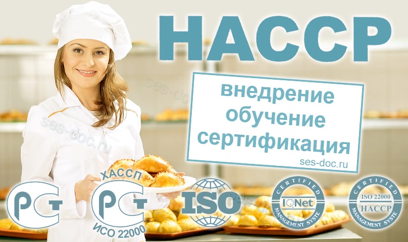 ХАССП haccp на пищевом предприятии, что это такое?